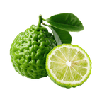 Bergamot