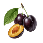 Plum