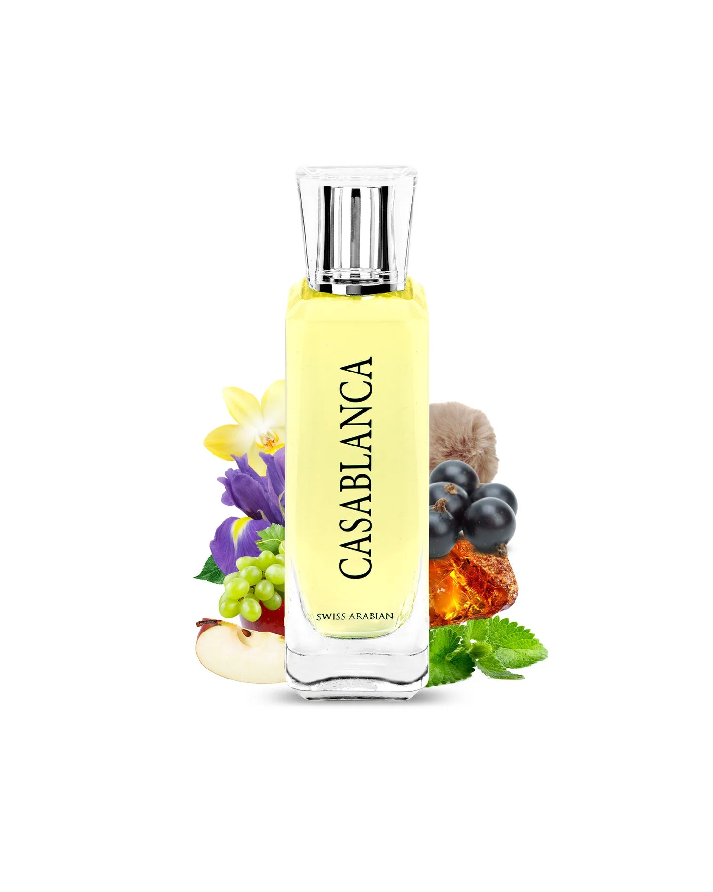 CASABLANCA 100ML