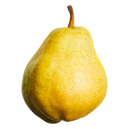 Williams Pear