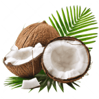 Coconut