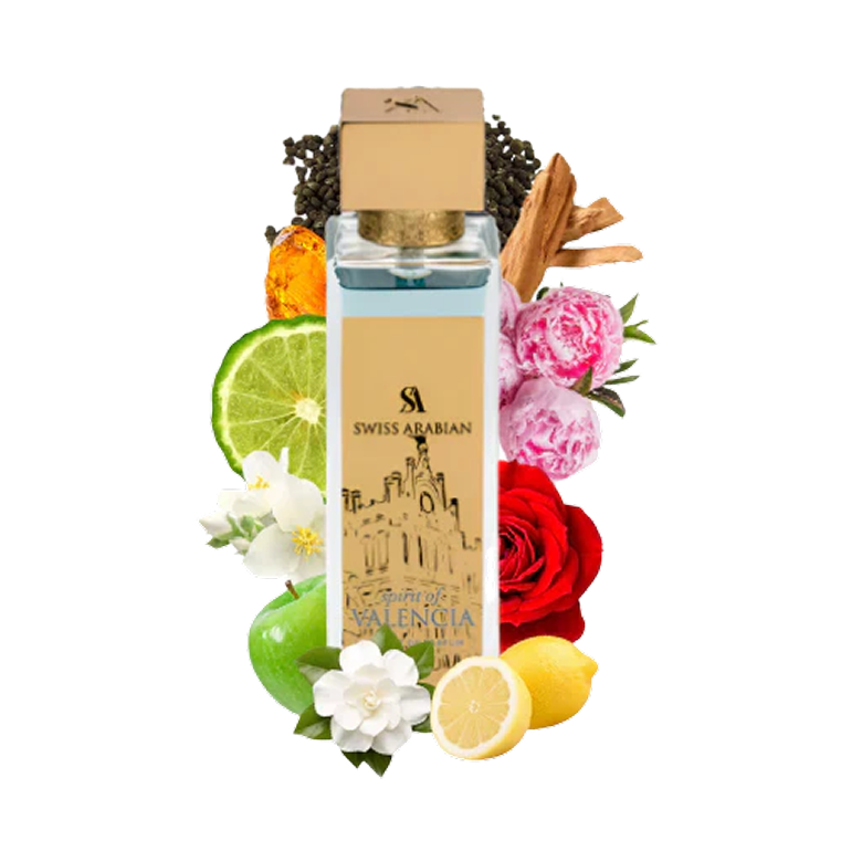 SPIRIT OF VALENCIA 100ML