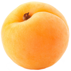 Apricot