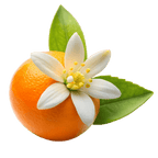 Orange Blossom