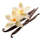 Vanilla